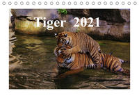 Tiger 2021 (Tischkalender 2021 DIN A5 quer)