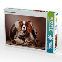 CALVENDO Puzzle Ein Cavalier auf Reisen 1000 Teile Lege-Größe 64 x 48 cm Foto-Puzzle Bild von Janina Bürger