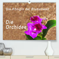 Die Königin der Blumenwelt, die Orchidee (Premium, hochwertiger DIN A2 Wandkalender 2020, Kunstdruck in Hochglanz)