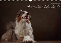 Charmante Australian Shepherds (Wandkalender 2023 DIN A3 quer)