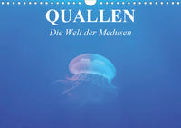 Quallen. Die Welt der Medusen (Wandkalender 2020 DIN A4 quer)