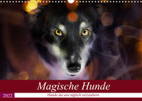 Magische Hunde - Hunde die uns täglich verzaubern (Wandkalender 2022 DIN A3 quer)