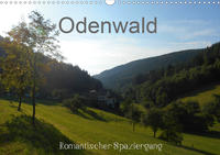 Odenwald - Romantischer Spaziergang (Wandkalender 2021 DIN A3 quer)