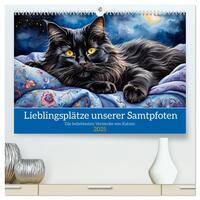 Lieblingsplätze unserer Samtpfoten (hochwertiger Premium Wandkalender 2025 DIN A2 quer), Kunstdruck in Hochglanz