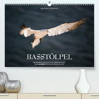 Emotionale Momente: Basstölpel / CH-Version (Premium, hochwertiger DIN A2 Wandkalender 2020, Kunstdruck in Hochglanz)