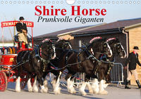 Shire Horse • Prunkvolle Giganten (Wandkalender 2021 DIN A4 quer)