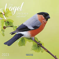 Vögel 2023