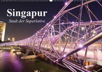 Singapur. Stadt der Superlative (Wandkalender 2020 DIN A2 quer)