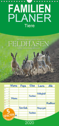 Emotionale Momente: Feldhasen - Familienplaner hoch (Wandkalender 2020 , 21 cm x 45 cm, hoch)