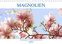 Magnolien Ein Blütenrausch (Wandkalender 2020 DIN A4 quer)