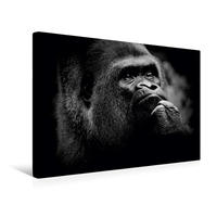 Premium Textil-Leinwand 45 x 30 cm Quer-Format Gorilla | Wandbild, HD-Bild auf Keilrahmen, Fertigbild auf hochwertigem Vlies, Leinwanddruck von Ulrich Brodde