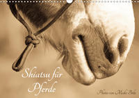 Shiatsu für Pferde - Photos von Meike Bölts (Wandkalender 2020 DIN A3 quer)