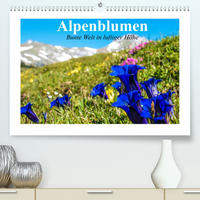 Alpenblumen. Bunte Welt in luftiger Höhe (Premium, hochwertiger DIN A2 Wandkalender 2022, Kunstdruck in Hochglanz)