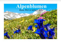 Alpenblumen. Bunte Welt in luftiger Höhe (Wandkalender 2022 DIN A3 quer)