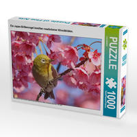 CALVENDO Puzzle Ein Japan-Brillenvogel inmitten rosafarbener Kirschblüten. 1000 Teile Lege-Größe 64 x 48 cm Foto-Puzzle Bild von CALVENDO