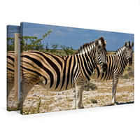 Premium Textil-Leinwand 750 x 500 cm Quer-Format Namibia: Neugierige Zebras | Wandbild, HD-Bild auf Keilrahmen, Fertigbild auf hochwertigem Vlies, Leinwanddruck von Ingo Paszkowsky