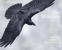 Der Kolkrabe – Totenvogel, Götterbote, tierisches Genie