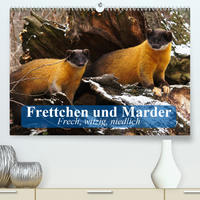 Frettchen und Marder. Frech, witzig, niedlich (Premium, hochwertiger DIN A2 Wandkalender 2021, Kunstdruck in Hochglanz)