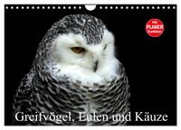 Greifvögel, Eulen und Käuze (Wandkalender 2025 DIN A4 quer), CALVENDO Monatskalender