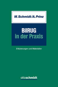 BilRUG in der Praxis