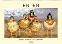 Enten. Beliebt, hübsch und imposant (Wandkalender 2023 DIN A2 quer)