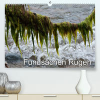 Fundsachen Rügen (Premium, hochwertiger DIN A2 Wandkalender 2020, Kunstdruck in Hochglanz)