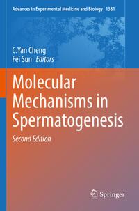 Molecular Mechanisms in Spermatogenesis