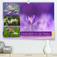 Innehalten in der Natur ... mit Weisheiten und Sprichworten der Indianer (Premium, hochwertiger DIN A2 Wandkalender 2021, Kunstdruck in Hochglanz)