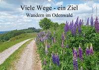 Viele Wege - ein Ziel Wandern im Odenwald (Wandkalender 2021 DIN A2 quer)