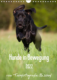 Hunde in Bewegung 2022 von Tierfotografie Bischof (Wandkalender 2022 DIN A4 hoch)