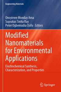 Modified Nanomaterials for Environmental Applications