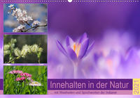 Innehalten in der Natur ... mit Weisheiten und Sprichworten der Indianer (Wandkalender 2021 DIN A2 quer)