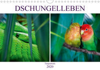 Dschungelleben - Tierportraits (Wandkalender 2020 DIN A4 quer)