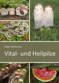 Vital- und Heilpilze