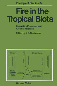 Fire in the Tropical Biota