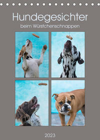 Hundegesichter beim Würstchenschnappen (Tischkalender 2023 DIN A5 hoch)