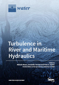 Turbulence in River and Maritime Hydraulics