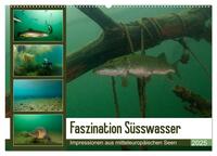 Faszination Süsswasser (Wandkalender 2025 DIN A2 quer), CALVENDO Monatskalender