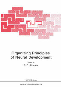 Organizing Principles of Neural Development