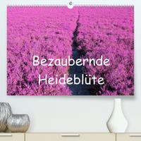 Bezaubernde Heideblüte (Premium, hochwertiger DIN A2 Wandkalender 2022, Kunstdruck in Hochglanz)