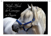 Weiße Pferde der Camargue in Bayern (Tischkalender 2021 DIN A5 quer)