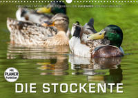 Emotionale Momente: Die Stockente. (Wandkalender 2023 DIN A3 quer)