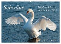 Mit dem Schwan durchs Jahr 2025 (Wandkalender 2025 DIN A2 quer), CALVENDO Monatskalender