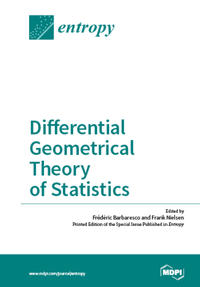 Differential Geometrical Theory of Statistics