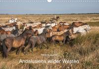 Pferde - Andalusiens wilder Westen (Wandkalender 2021 DIN A3 quer)