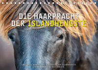 Die Haarpracht der Islandhengste. (Tischkalender 2022 DIN A5 quer)