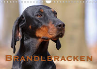 Brandlbracken (Wandkalender 2022 DIN A4 quer)