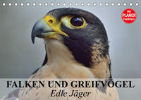 Falken und Greifvögel - Edle Jäger (Tischkalender 2023 DIN A5 quer)