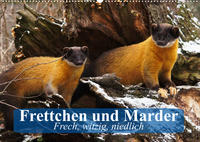 Frettchen und Marder. Frech, witzig, niedlich (Wandkalender 2023 DIN A2 quer)