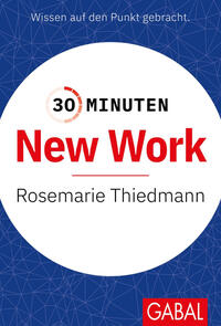 30 Minuten New Work